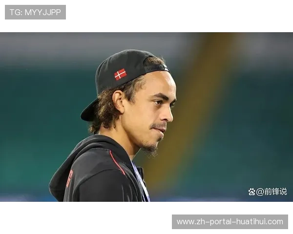 汉堡波尔森因伤缺阵,预计三月复出 汉堡波尔森因伤缺阵,预计三月复出